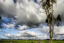 旺财28官网:快看!只属于大连的震撼画面!.