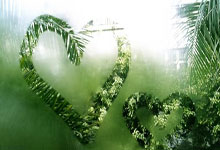 王曦雨张帅王雅繁无缘晋级 中国选手单打赛场全部出局.