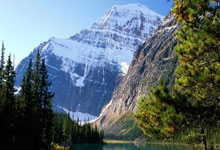 国足球员近两场球迷评分对比:王大雷.暴跌至..