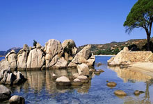 旺财28官网：[图]林诗栋3-1陈垣宇 晋级乒乓球亚洲杯男单八强.